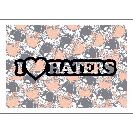 I love Haters