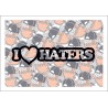 I love Haters