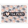 I love Haters