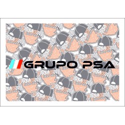 Grupo PSA 2