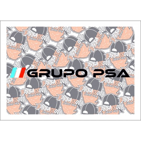 Grupo PSA 2