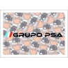 Grupo PSA 2