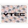 VTEC