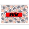 8v