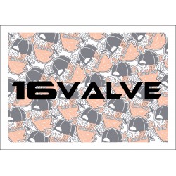 16 valve