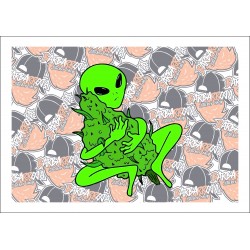 Alien Cogollo