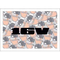 16v