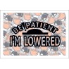 Be Patient Im Lowered