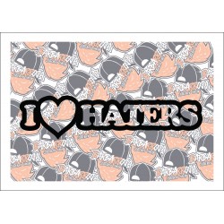 I love Haters 2