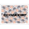 Eco Boost