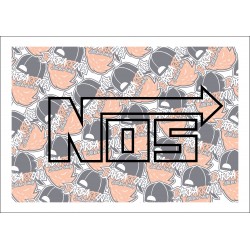 Nos