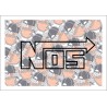 Nos