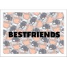 BestFriends