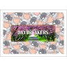 SLAP Day Breakers