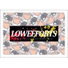 SLAP LowefFort