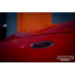 Emblema Ford a Color