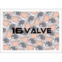 16 VALVE