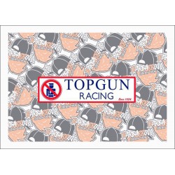 TOPGUN RACING